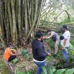 Penemuan mayat di Tanjung Bunga