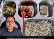 Bakso MBG di Lebong Terbukti Tercemar Bakteri, Dinkes Lempar Bola ke APH